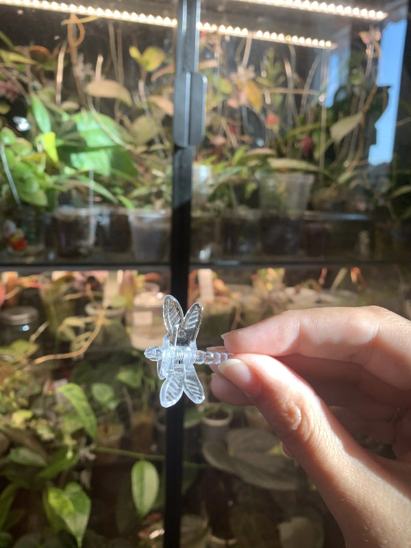 Dragonfly Clips image 2