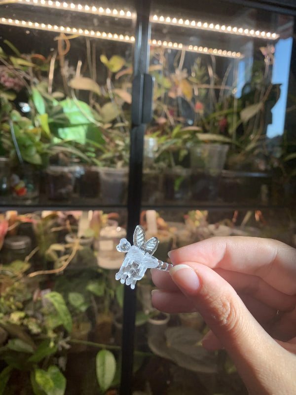 Dragonfly Clips image 1