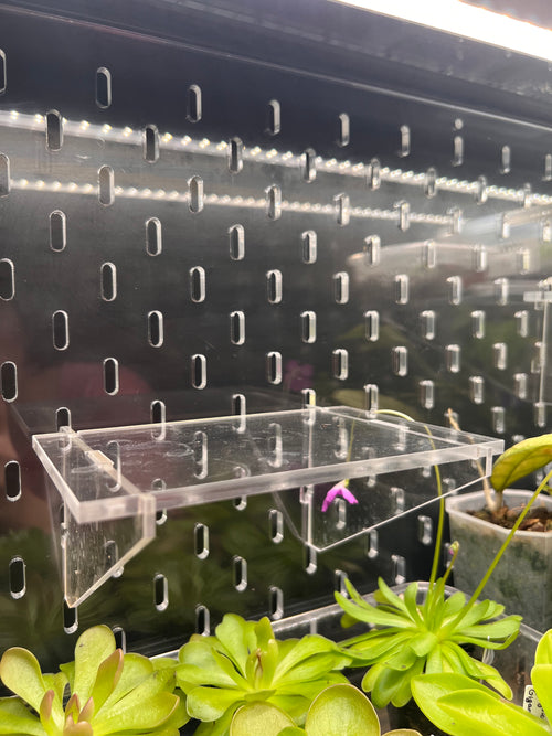 Clear acrylic shelf on a pegboard with plants below