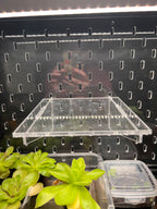 Acrylic shelf on an IKEA cabinet pegboard