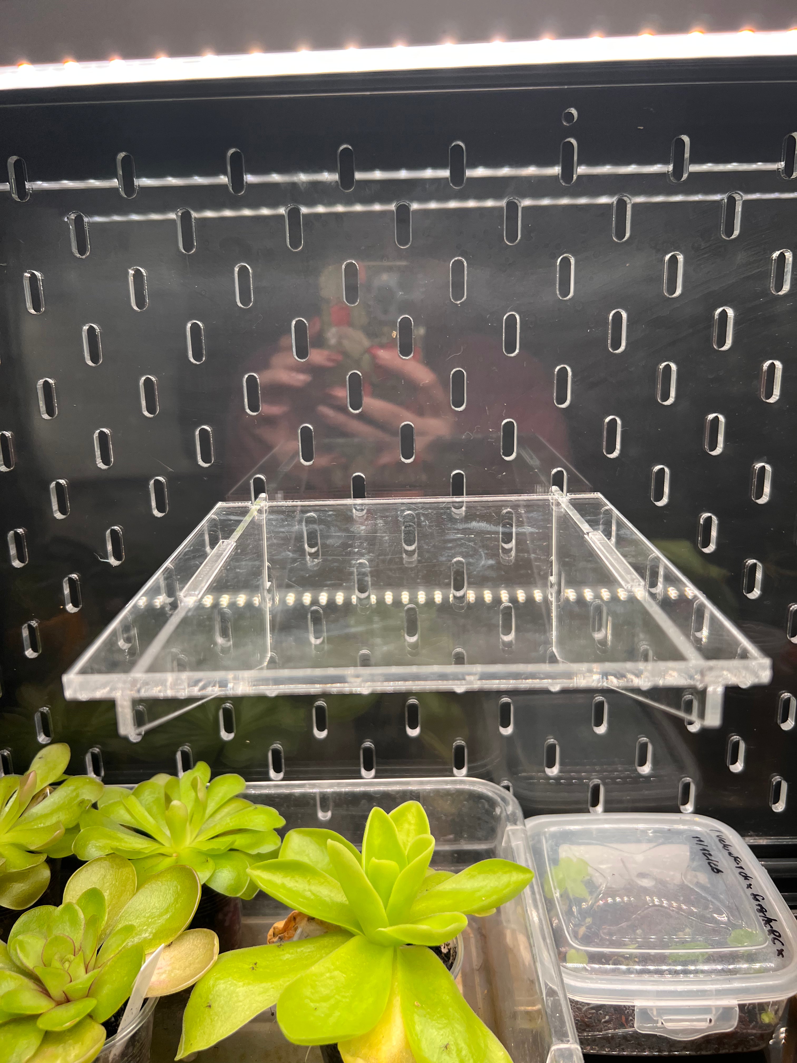 Acrylic shelf on an IKEA cabinet pegboard