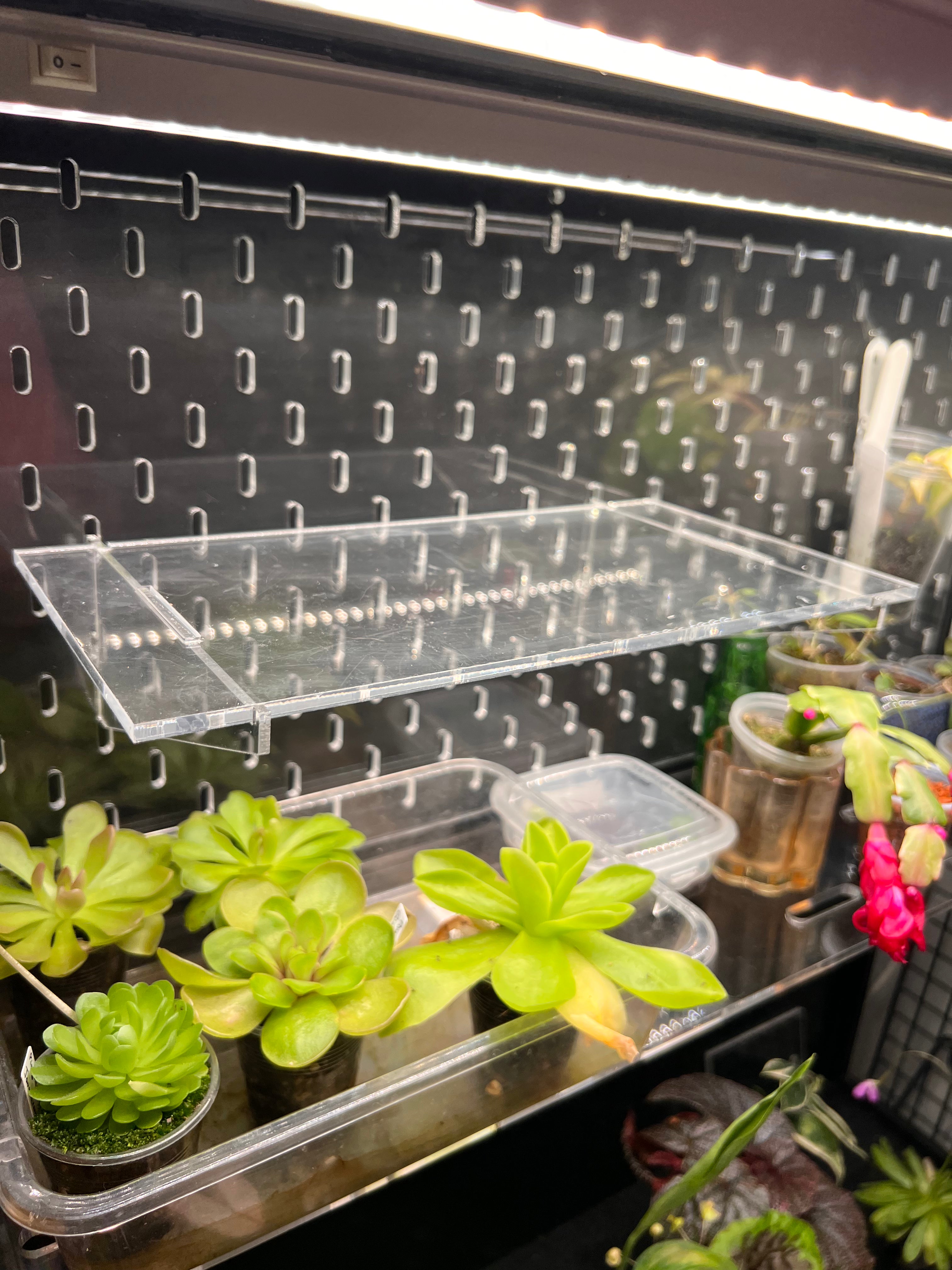Acrylic shelf with small plants on a pegboard for an IKEA Cabinet