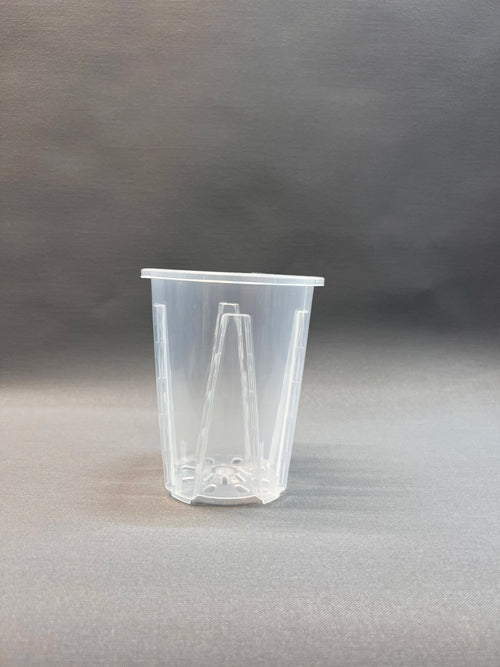 Aroid Pots