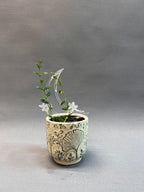 Moon Trellis