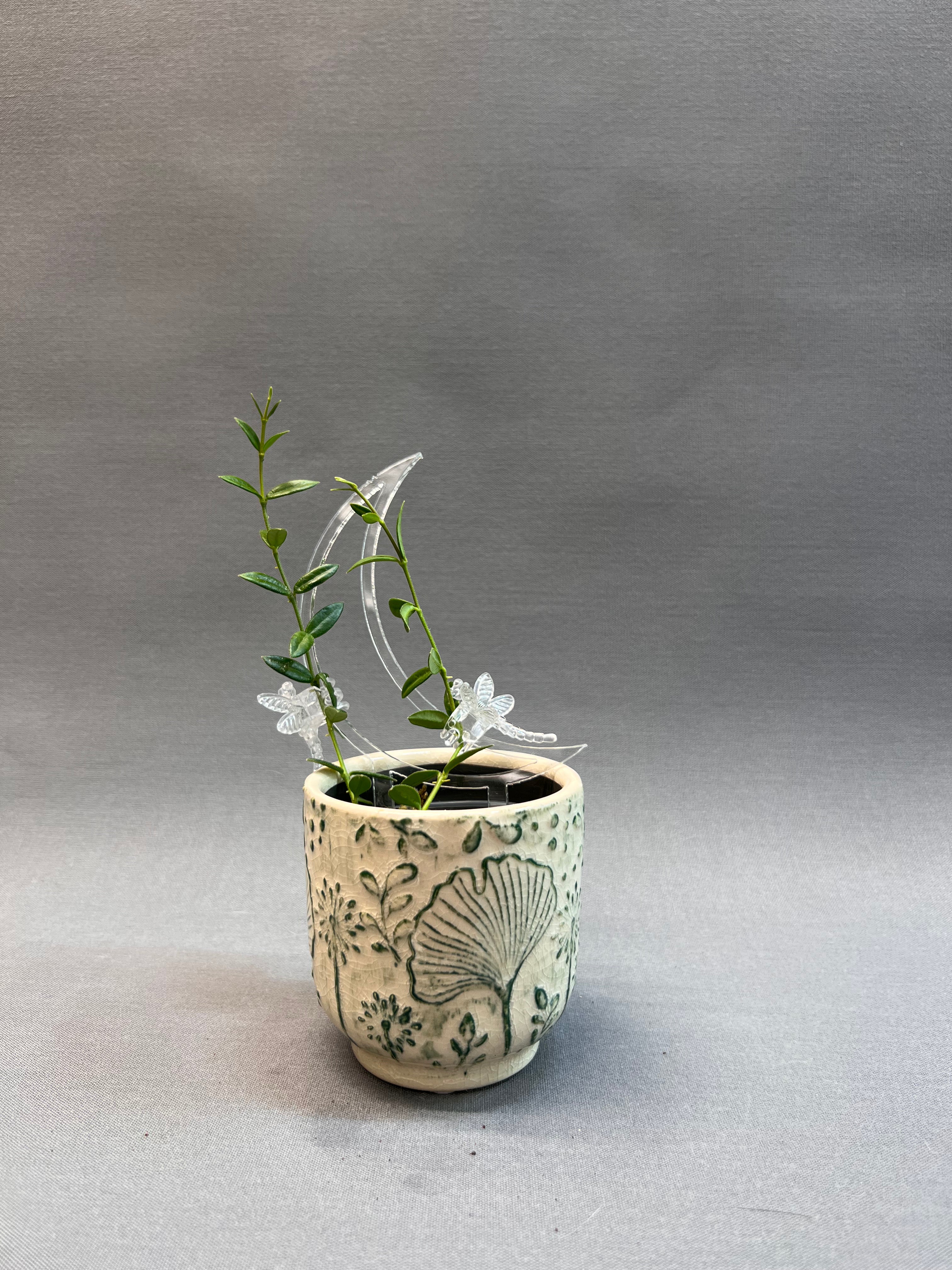 Moon Trellis