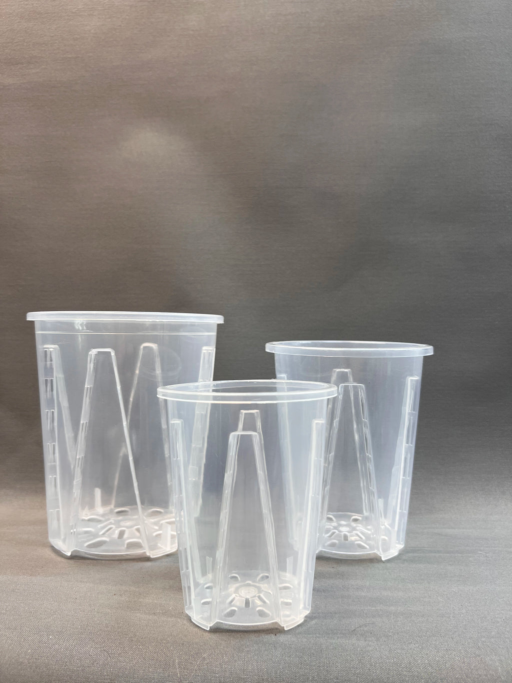 Aroid Pots