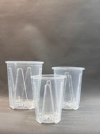 Aroid Pots