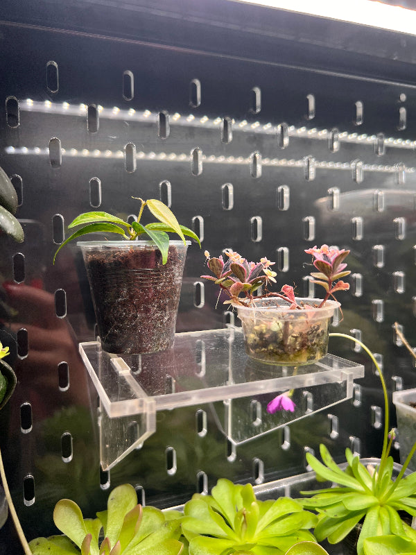 Acrylic Shelf 10.5x10 cm