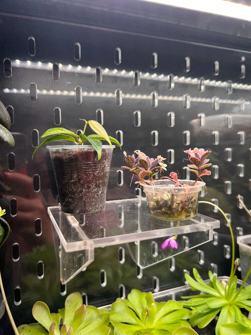 Acrylic Shelf 10.5x10 cm