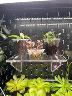 Acrylic Shelf 15x10 cm