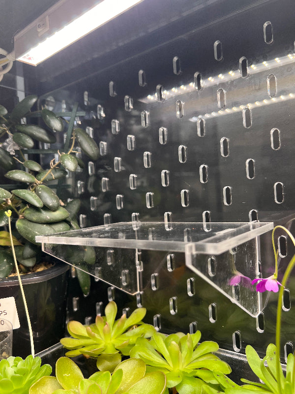 Acrylic Shelf 15x10 cm