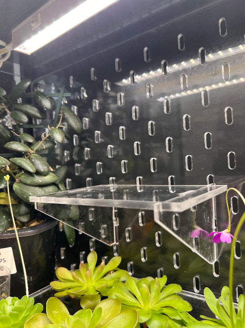 Acrylic Shelf 15x10 cm