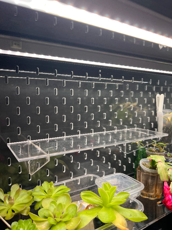 Acrylic Shelf 36x10 cm