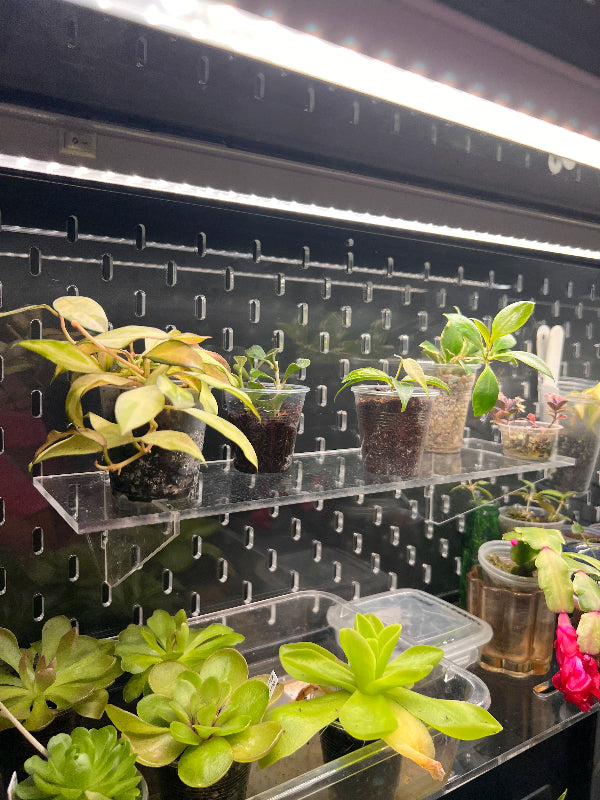 Acrylic Shelf 36x10 cm