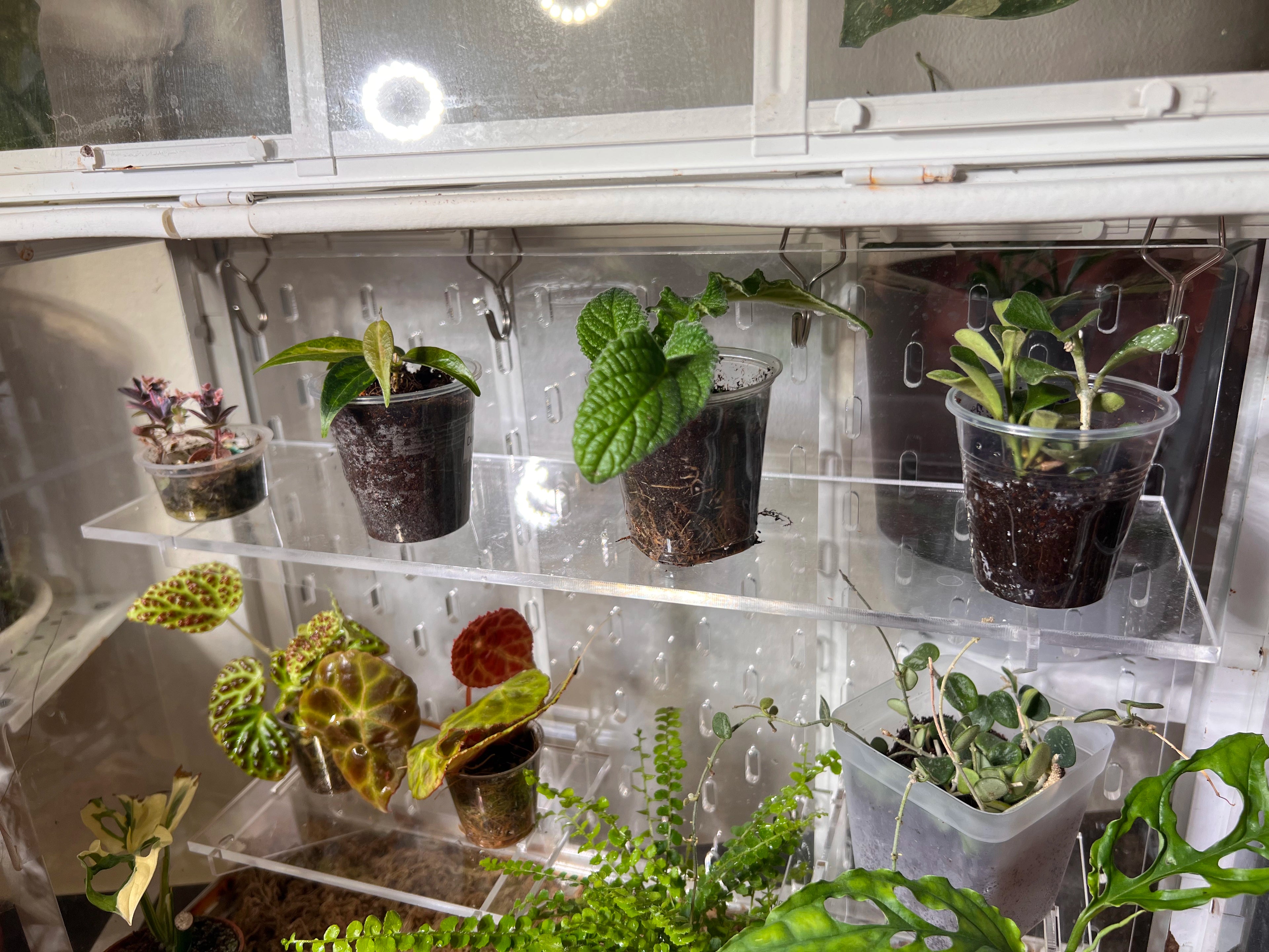 Small Akerbar Pegboard (45 cm)