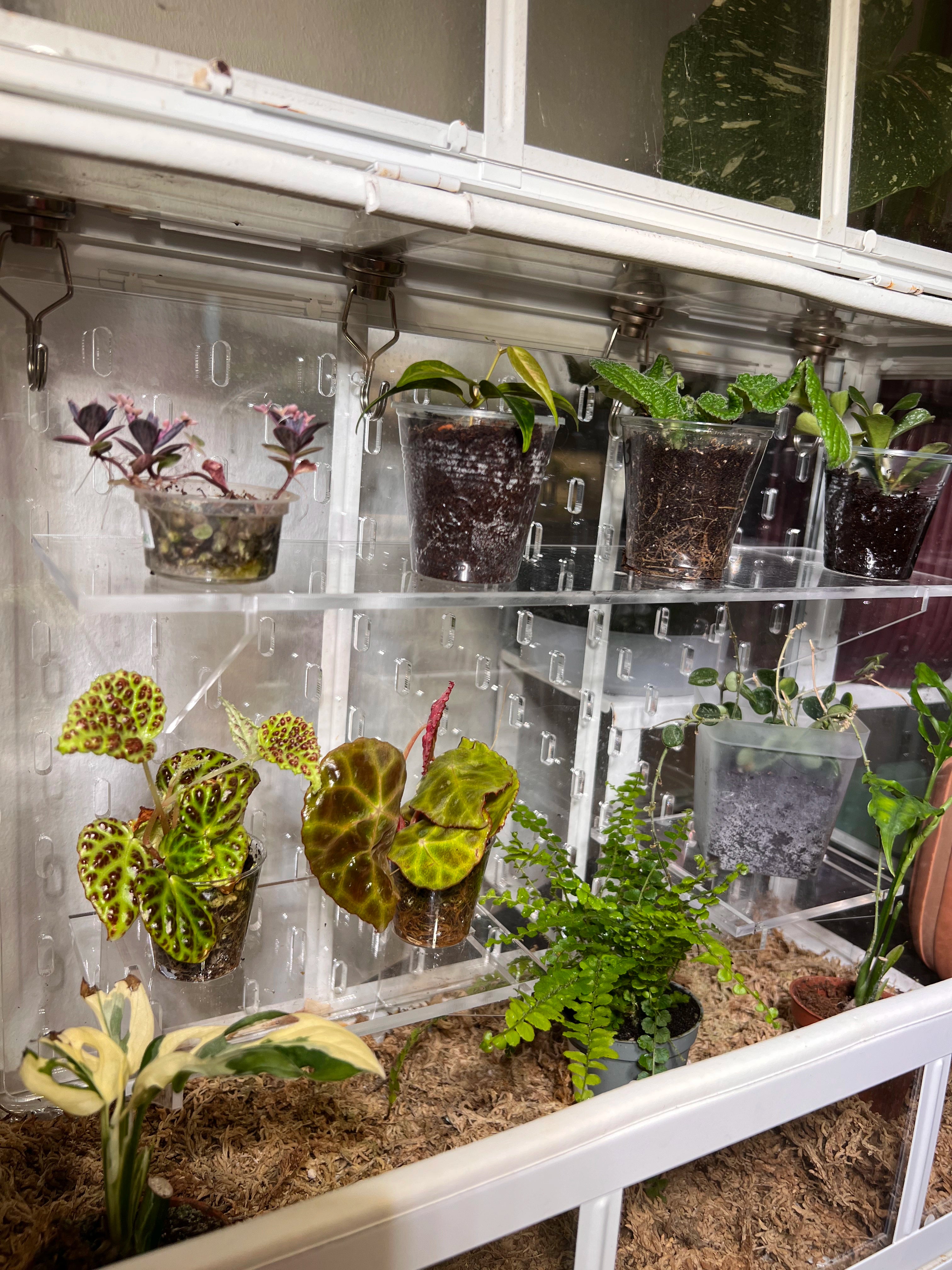 Small Akerbar Pegboard (45 cm)